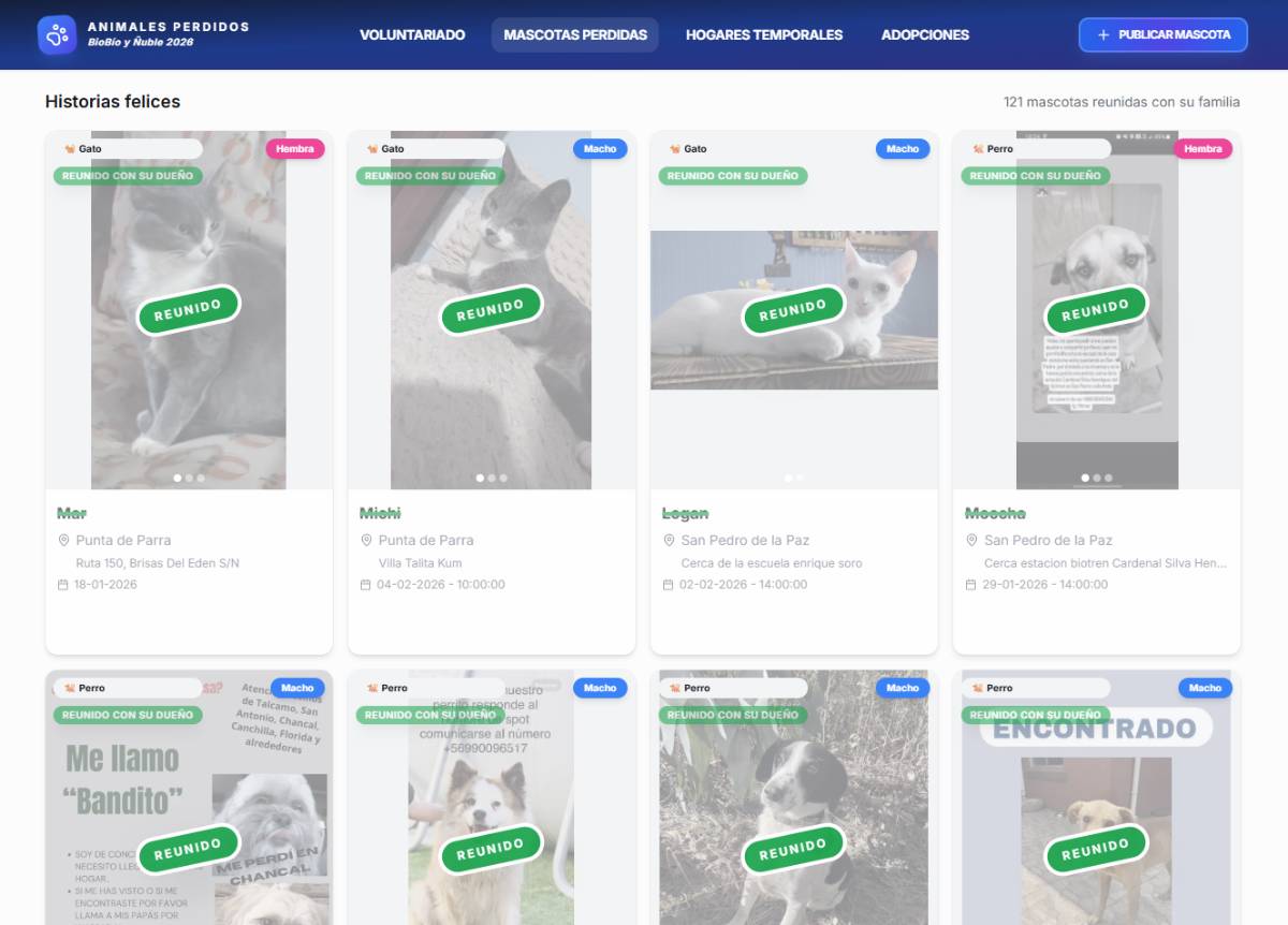 Creador y Desarrollador – AnimalesPerdidos.cl